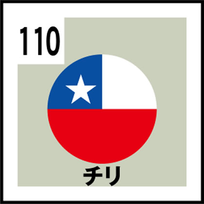 110-チリ